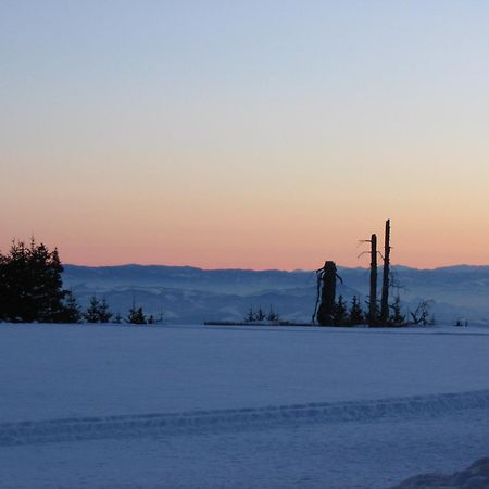 Villa Kostic Kopaonik Eksteriør billede