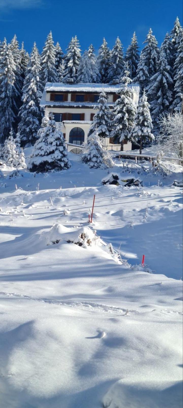 Villa Kostic Kopaonik Eksteriør billede