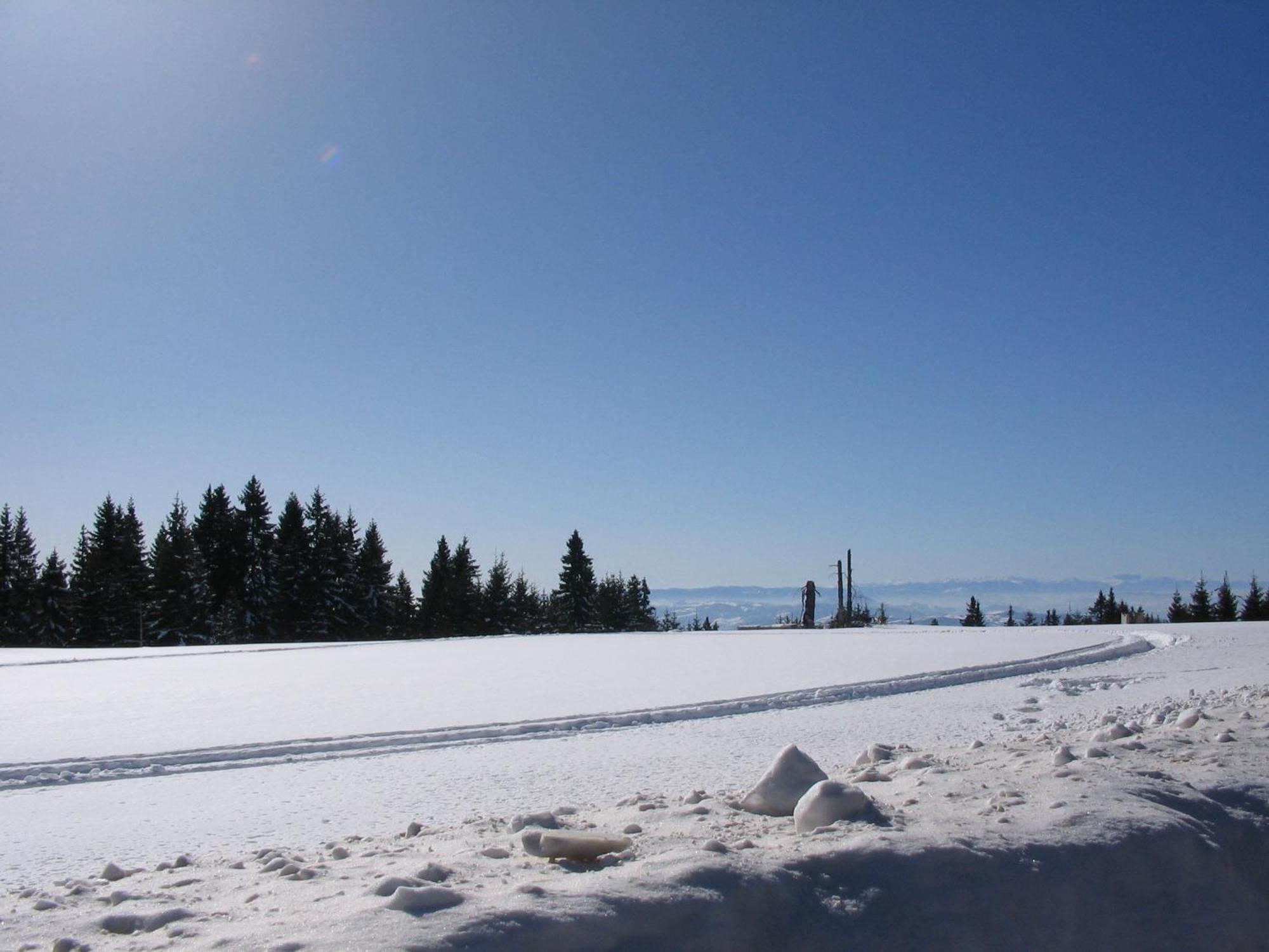 Villa Kostic Kopaonik Eksteriør billede