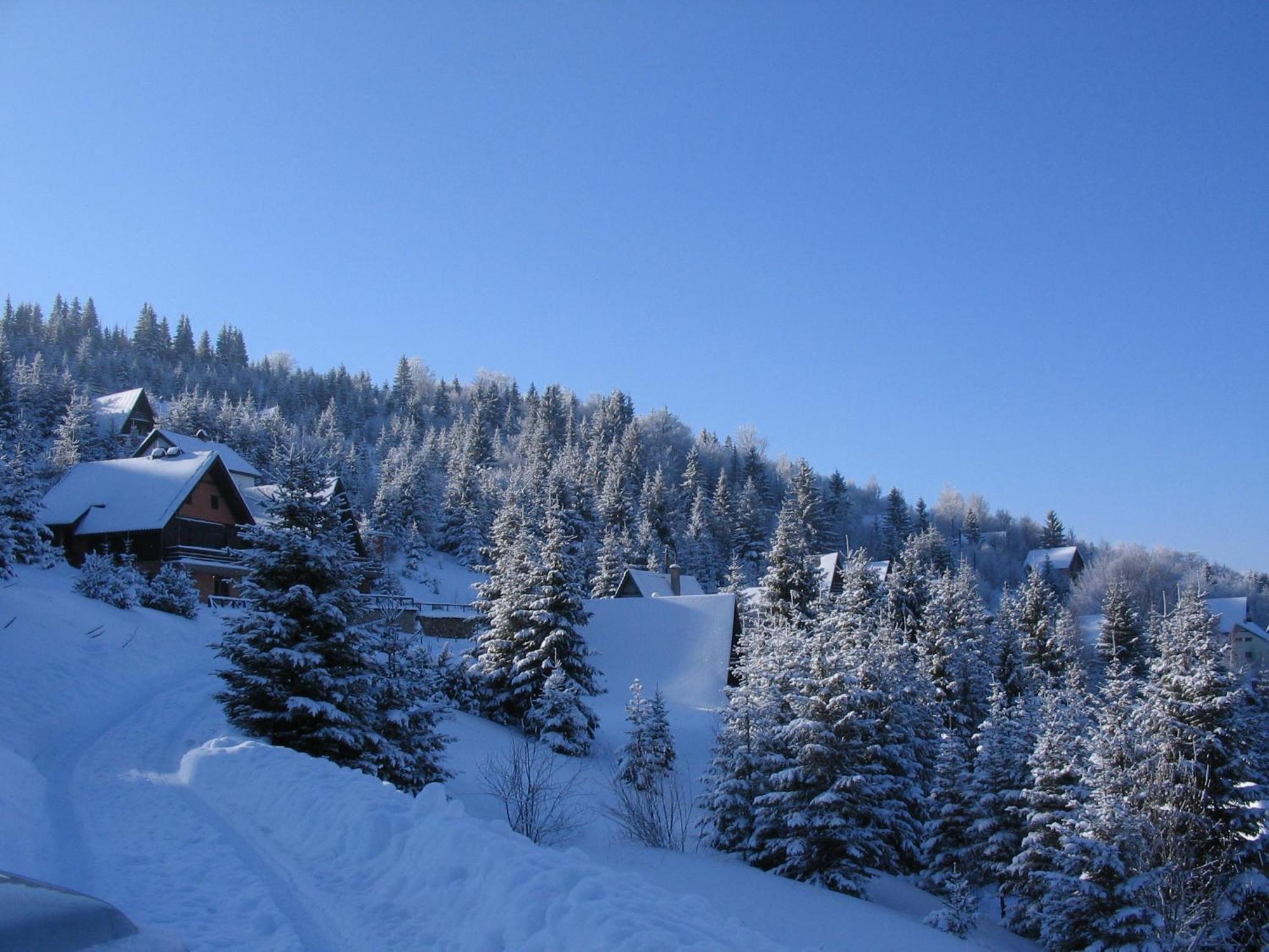 Villa Kostic Kopaonik Eksteriør billede