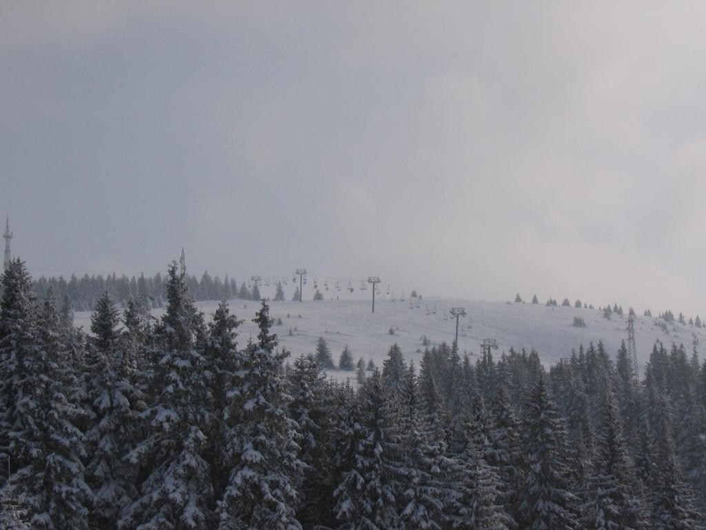 Villa Kostic Kopaonik Eksteriør billede