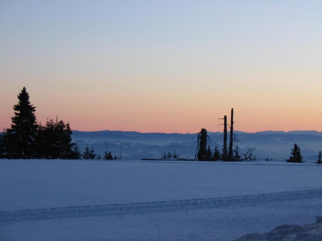 Villa Kostic Kopaonik Eksteriør billede