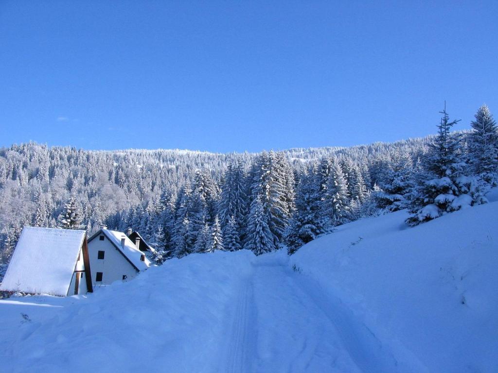 Villa Kostic Kopaonik Eksteriør billede