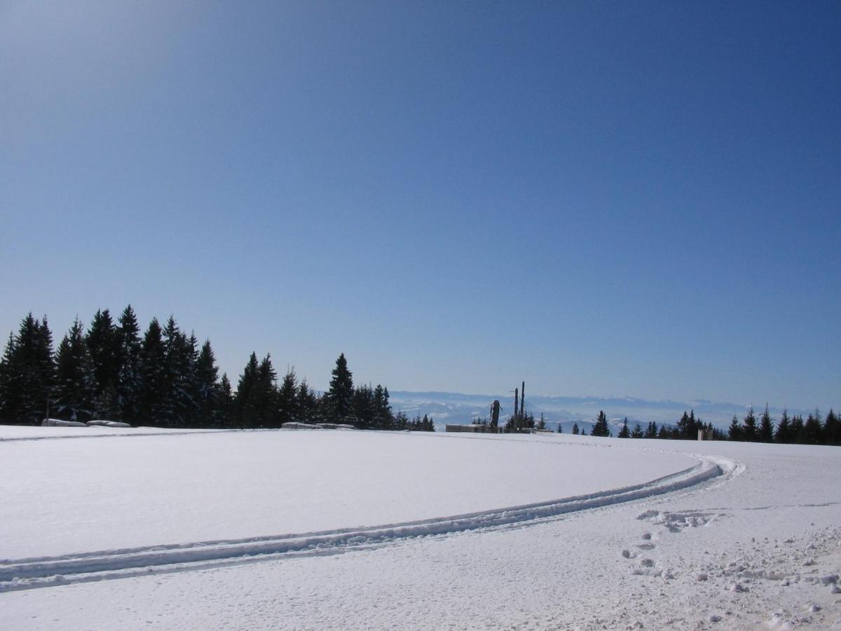 Villa Kostic Kopaonik Eksteriør billede